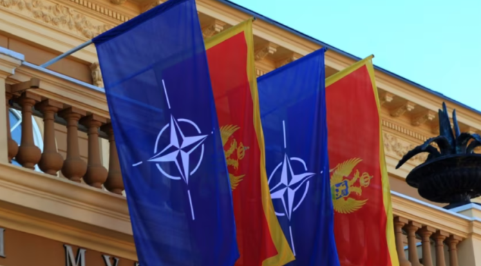 auto_Screenshot_2026-02-06_1137101770374242