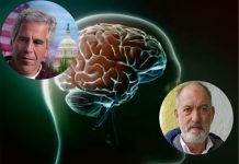 Dosjet “Epstein”: Si u dërguan mostrat e trurit nga Shkupi në New York? Zbardhen detajet tronditëse!