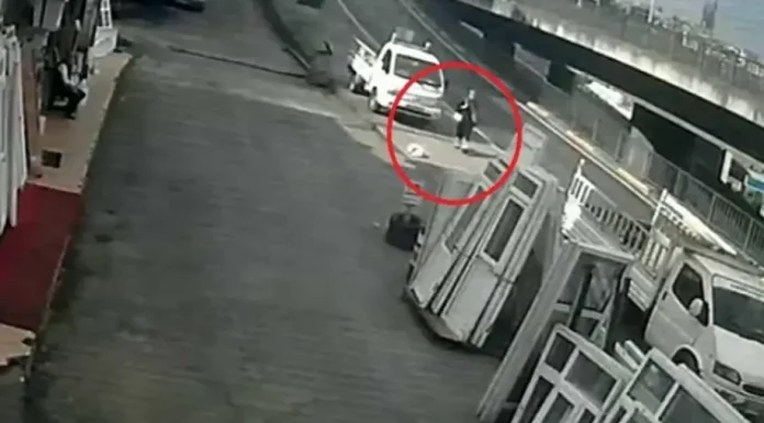 foititria-skili-tourkia-1