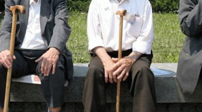 pensionist-pleq-1-696x486