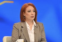 “Po goditet themeli i shtetit, po rrezikohet Marrëveshja e Ohrit dhe stabiliteti”, alarmon profesoresha Çupevska