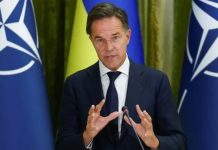 Mark Rutte tregon katër vende që bllokojnë anëtarësimin e Ukrainës në NATO