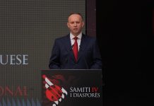 Gashi: Diasporës parapëlqej t’i them mërgatë, të krijojmë kushtet për rikthimin e tyre në vendlindje