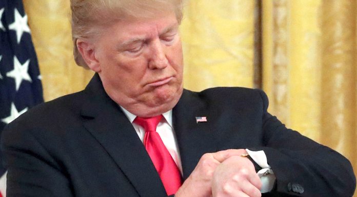 bota-fq-15-donald-trump-ora