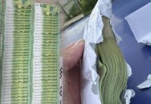 Në autobusin nga Gjermania për në Maqedoni zbulohen mijëra euro të padeklaruara