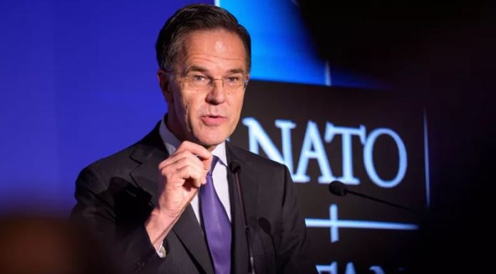 mark-rutte