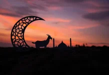 Historiku i Kurban Bajramit, festa e sakrificës dhe besimit në besimin islam