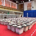 Info Shqip: Kandidatët më të votuar për deputetë pas numërimit të afër 25% të votave