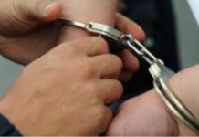 I ofroi ryshfet policisë kufitare, arrestohet shtetasi serb