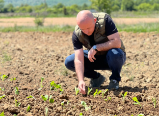 Hoxha: Mbi 2 miliardë denarë subvencione për duhanprodhuesit, pagesa më e madhe e realizuar ndonjëherë