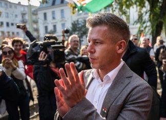 Kryeministri i ri hungarez i ul pagën politikanëve me 40%
