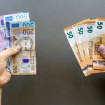 Info Shqip: Shqipëria nis përgatitjet për ta zëvendësuar lekun me euro