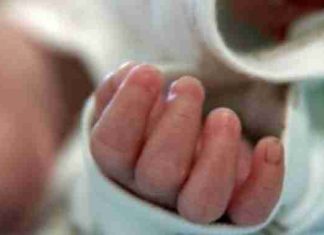 Ngjarje e rrallë, gruaja lind katërnjakë identikë të të ngjizur natyrshëm