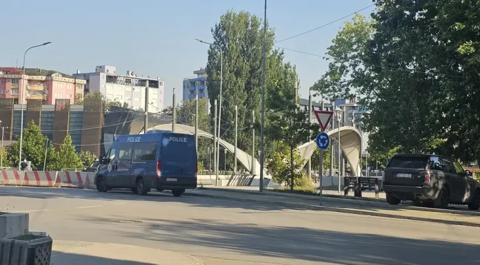 78377939_1004