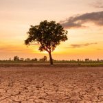 OKB paralajmëron: El Niño mund ta çojë botën drejt një krize urie në vitin 2027