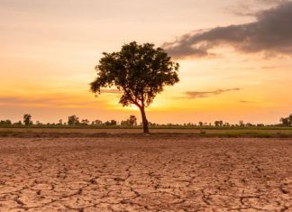 OKB paralajmëron: El Niño mund ta çojë botën drejt një krize urie në vitin 2027