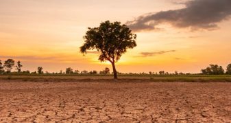 Info Shqip: OKB paralajmëron: El Niño mund ta çojë botën drejt një krize urie në vitin 2027