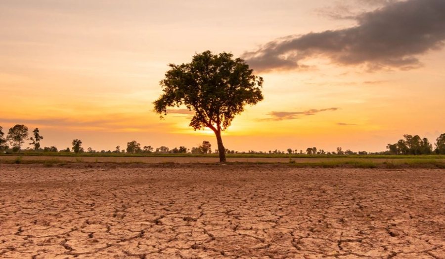 OKB paralajmëron: El Niño mund ta çojë botën drejt një krize urie në vitin 2027