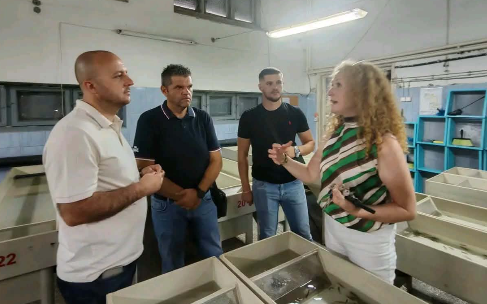 Hoxha: Më shumë troftë për Liqenin e Ohrit, këtë vit planifikohet lëshimi i rreth 1.6 milionë troftave