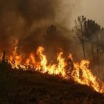 Info Shqip: Alarm për zjarre: Pothuajse i gjithë vendi në rrezik të lartë