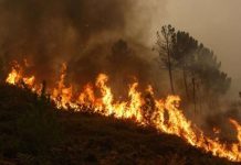 Alarm për zjarre: Pothuajse i gjithë vendi në rrezik të lartë