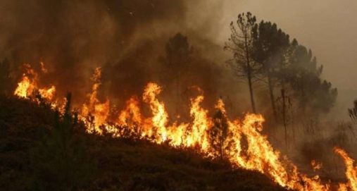 Info Shqip: Alarm për zjarre: Pothuajse i gjithë vendi në rrezik të lartë