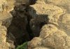 Afrika po ndahet në dy pjesë, shkencëtarët zbulojnë një forcë nga thellësia e Tokës që po e copëton kontinentin