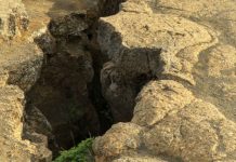 Afrika po ndahet në dy pjesë, shkencëtarët zbulojnë një forcë nga thellësia e Tokës që po e copëton kontinentin