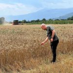 Hoxha: 461,5 milionë denarë për 23.874 fermerë, u realizuan pagesat për drithërat