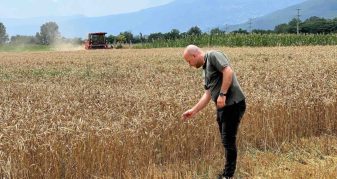 Info Shqip: Hoxha: 461,5 milionë denarë për 23.874 fermerë, u realizuan pagesat për drithërat