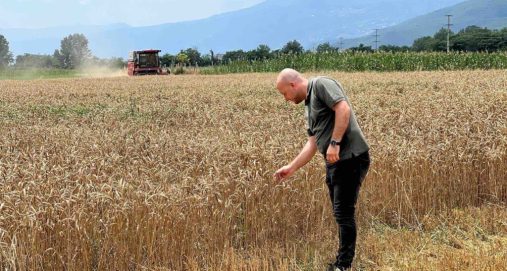 Info Shqip: Hoxha: 461,5 milionë denarë për 23.874 fermerë, u realizuan pagesat për drithërat
