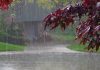 Për fundjavë paralajmërohet shi dhe rënie të temperaturës