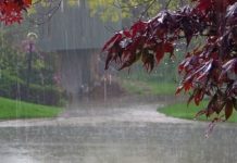 Për fundjavë paralajmërohet shi dhe rënie të temperaturës