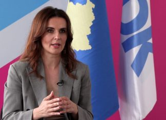 Çitaku kritikon Qeverinë: Për ligjet e tjera procedura të përshpejtuara, për Specialen zvarritje