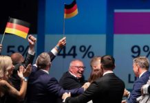 A rrezikohen shqiptarët nga politikat e AfD-së? Deputeti Teich jep përgjigjen pas fitores në Sachsen-Anhalt