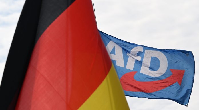 AfD Lead Candidate Ulrich Siegmund on the Campaign Trail