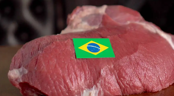 mish-brazil