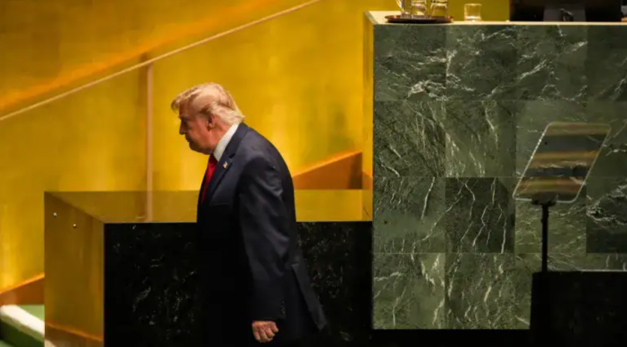 trump-okb