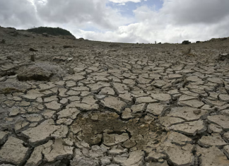 El Niño alarmon botën: Paralajmërim për mot ekstrem dhe temperatura rekord