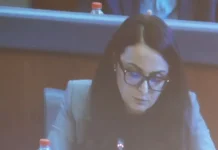 Projektligji për Specialen, Lushaku: LDK nuk mund të bëhet pjesë e kësaj nisme