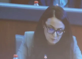 Projektligji për Specialen, Lushaku: LDK nuk mund të bëhet pjesë e kësaj nisme