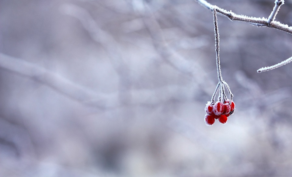 Valë polare me temperatura të ulta së shpejti në Maqedoninë e Veriut dhe Ballkan