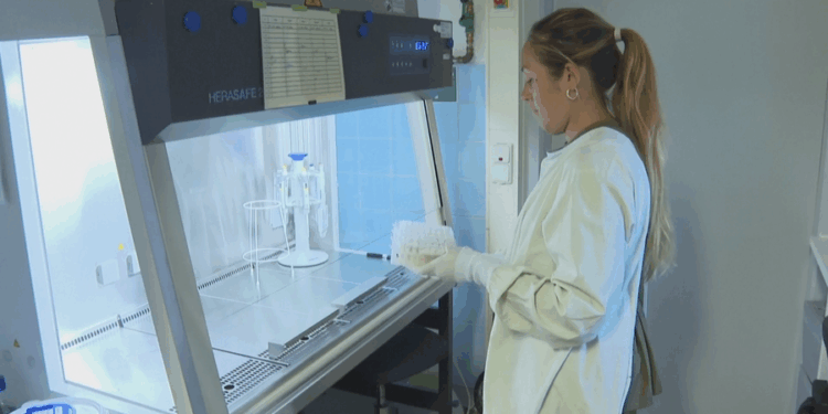 Virusi mistereioz në Rusi  OBSH ende e pasigurt se çfarë e shkaktoi 